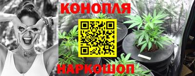 дживик Абинск