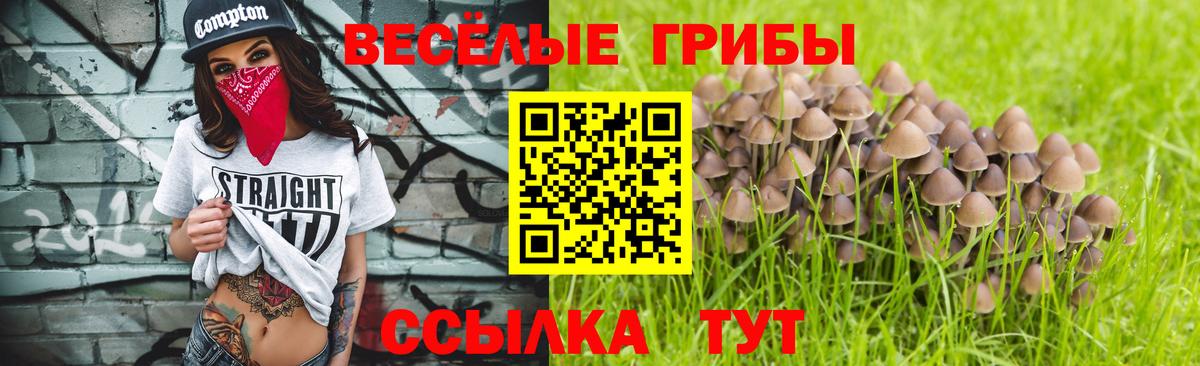 Псилоцибиновые грибы мицелий  Вход с VPN  Альметьевск  сколько стоит  Псилоцибиновые грибы прущие грибы 